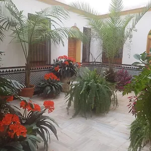 apartamento-calle-leiva.es-andalucia.com/